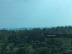 The Atria At Meyer (D15), Condominium #114201132